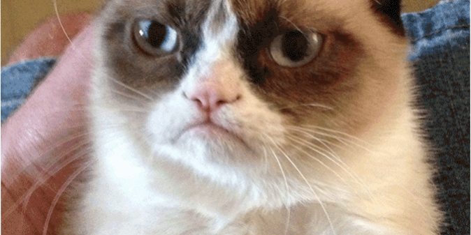 visiting the dentist